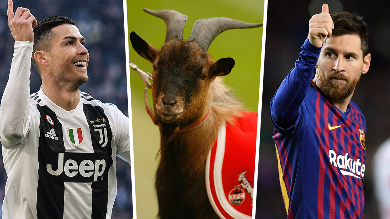 Goat là gì? The Goat của bóng đá là ai? – Ai sẽ là GOAT tiếp theo?