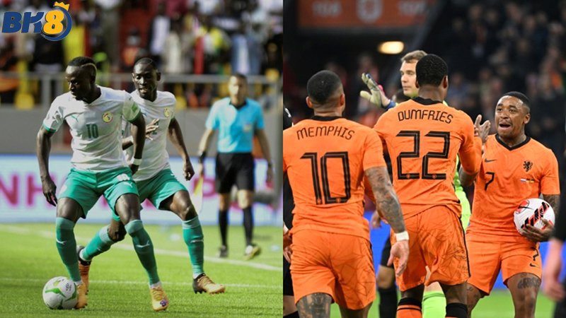 trận mở màn world cup 2022 Senegal vs Hà Lan