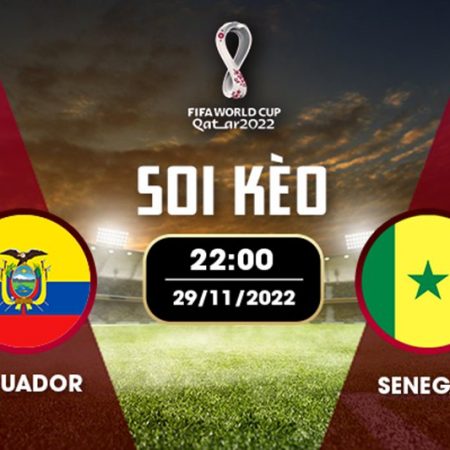 Soi kèo Ecuador vs Senegal link xem 22h ngày 29/11/2022