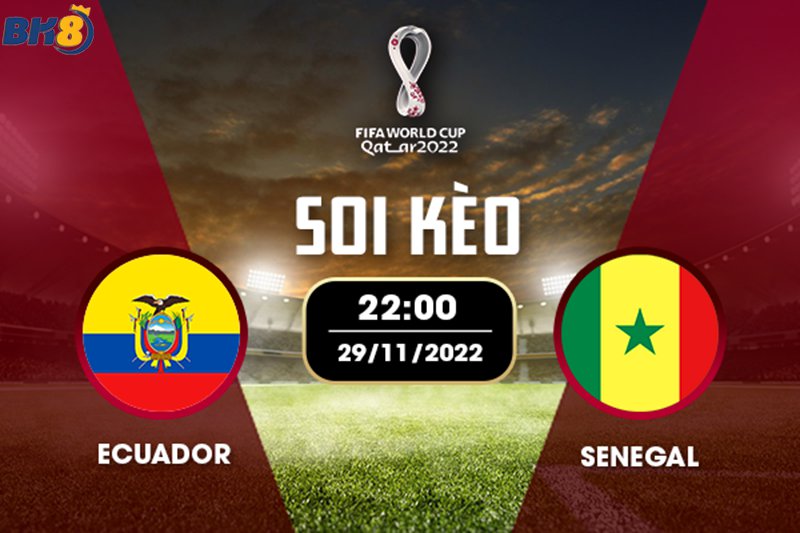 Soi kèo Ecuador vs Senegal