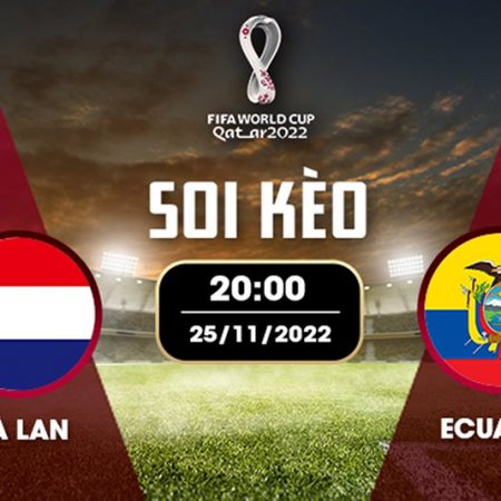 Soi kèo Hà Lan vs Ecuador link xem trực tiếp 23h ngày 25/11/2022