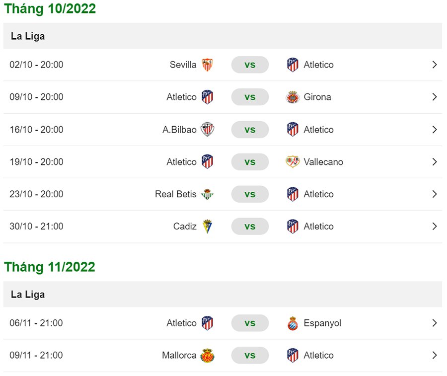 Ltđ Atletico Madrid 2022/2023